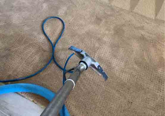 Best Carpet Cleaning Kangaroo Point
